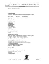 Verslo plano rengimas 6 puslapis