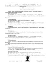 Verslo plano rengimas 8 puslapis