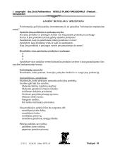 Verslo plano rengimas 10 puslapis