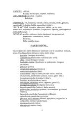 Meno ir žmogaus sąsaja 4 puslapis