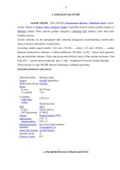 Izraelio žmonių elgesio ir bendravimo ypatumai 4 puslapis