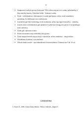 Izraelio žmonių elgesio ir bendravimo ypatumai 8 puslapis