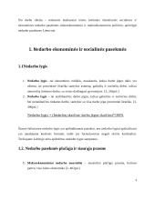 Nedarbo socialinės ir ekonominės problemos 3 puslapis