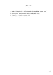 Oligopolinių firmų elgsena 12 puslapis