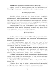 Priėmimų organizavimas, stalo serviravimas, svečių susodinimas 5 puslapis