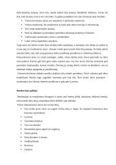 Protokolas ir etiketas Vakarų Europos kultūrinėje erdvėje 3 puslapis