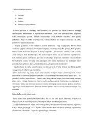 Protokolas ir etiketas Vakarų Europos kultūrinėje erdvėje 4 puslapis