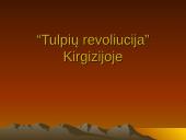 "Tulpių revoliucija" Kirgizijoje