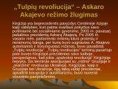 "Tulpių revoliucija" Kirgizijoje 2 puslapis