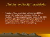 "Tulpių revoliucija" Kirgizijoje 3 puslapis
