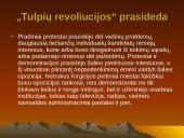 "Tulpių revoliucija" Kirgizijoje 4 puslapis