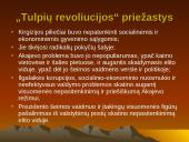 "Tulpių revoliucija" Kirgizijoje 7 puslapis