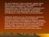 "Tulpių revoliucija" Kirgizijoje 9 puslapis