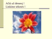 10 klasių moksleivių alkoholio vartojimo priežastys ir paplitimas 14 puslapis