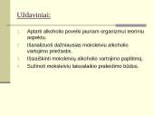 10 klasių moksleivių alkoholio vartojimo priežastys ir paplitimas 4 puslapis