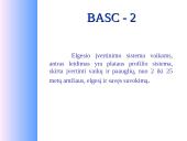 15-16 metų paauglių elgesio įvertinimas naudojantis BASC–2 metodika 4 puslapis