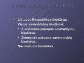 2007 metų Lietuvos Respublikos (LR) biudžetas 3 puslapis