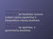 2007 metų Lietuvos Respublikos (LR) biudžetas 4 puslapis