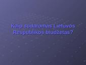 2007 metų Lietuvos Respublikos (LR) biudžetas 5 puslapis