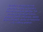 2007 metų Lietuvos Respublikos (LR) biudžetas 7 puslapis