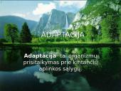 Organizmų adaptacija