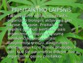 Organizmų adaptacija 3 puslapis