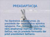 Organizmų adaptacija 4 puslapis