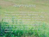 Organizmų adaptacija 7 puslapis