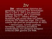 AIDS – pasaulio maras 5 puslapis