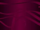 Akušerinė echoskopija 19 puslapis