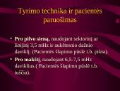 Akušerinė echoskopija 3 puslapis