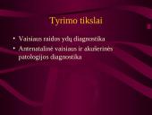 Akušerinė echoskopija 4 puslapis