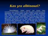 Albinosų gentis 2 puslapis