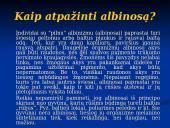Albinosų gentis 4 puslapis