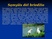 Albinosų gentis 10 puslapis