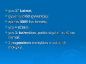 Alytaus rajono savivaldybė 8 puslapis