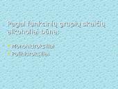 Alkoholiai, alkoholių skirstymas, savybės 6 puslapis