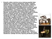 Alkoholis ir alkoholiniai gėrimai 5 puslapis