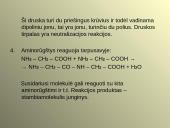 Aminai ir aminorūgštys 11 puslapis