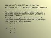 Aminai ir aminorūgštys 4 puslapis