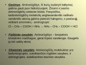 Aminai ir aminorūgštys 9 puslapis