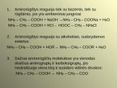 Aminai ir aminorūgštys 10 puslapis