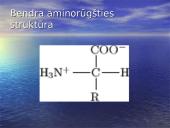 Aminorūgštys 3 puslapis