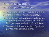 Aminorūgštys 8 puslapis