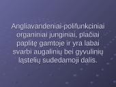 Angliavandeniai - polifunkciniai organiniai junginiai 2 puslapis