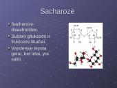 Angliavandeniai - polifunkciniai organiniai junginiai 11 puslapis