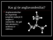 Kas gi tie angliavandeniliai? 4 puslapis