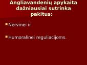Angliavandenių apykaitos nervinės-humoralinės reguliacijos sutrikimai 2 puslapis