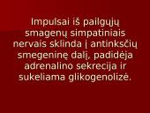 Angliavandenių apykaitos nervinės-humoralinės reguliacijos sutrikimai 3 puslapis