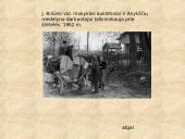 Antanas Baranauskas 12 puslapis